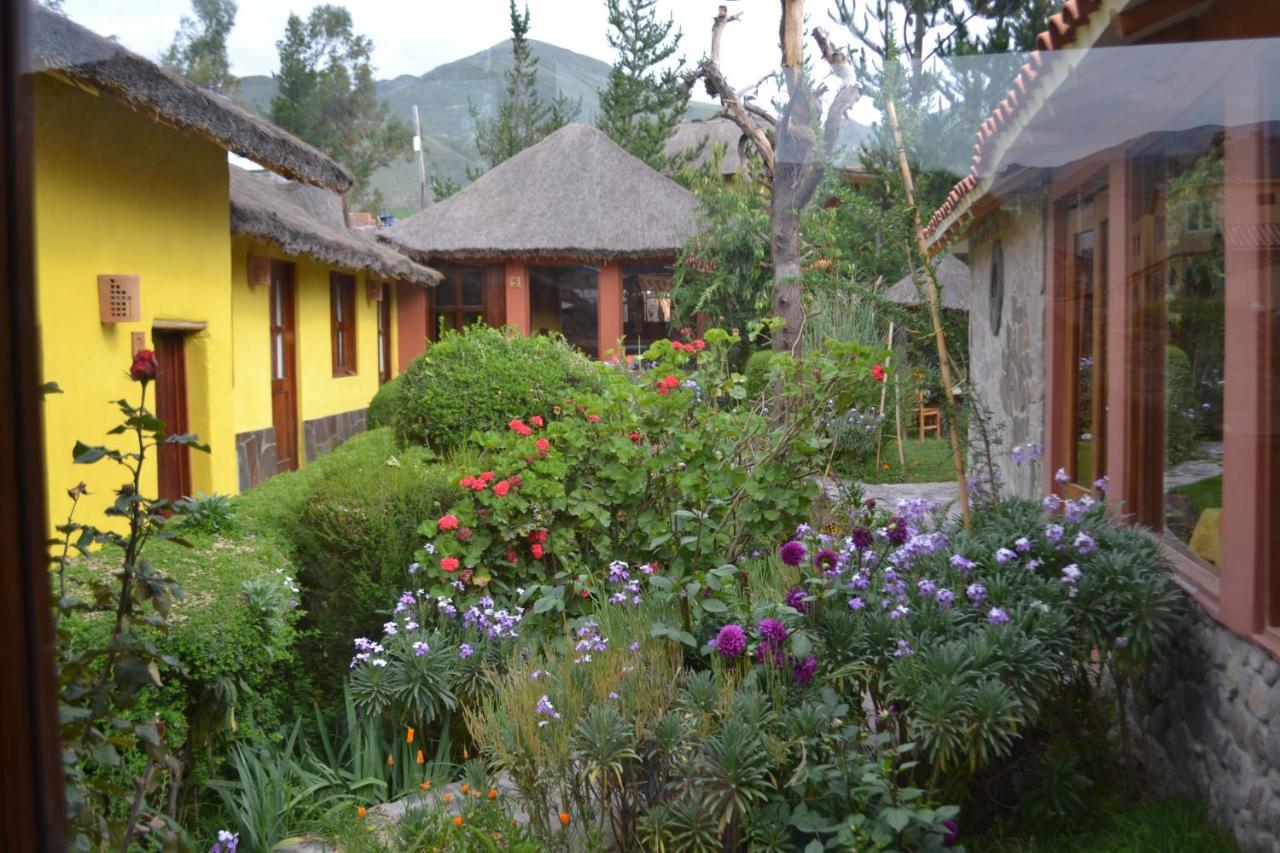 Miskiwasi Bed & Breakfast Yanque Εξωτερικό φωτογραφία